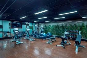 well equipped fitness center at Hilton Garden Inn Istanbul Ataturk Airport.