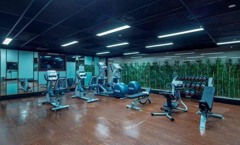 well equipped fitness center at Hilton Garden Inn Istanbul Ataturk Airport.