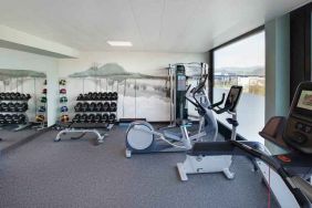 Fitness center with weights and machines at the Hilton Garden Inn Zurich Limmattal.