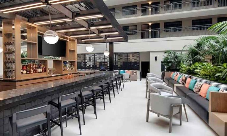 well-lit, spacious lobby-lounge ideal for coworking at Embassy Suites by Hilton San Rafael Marin County.