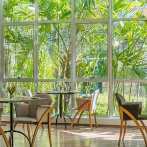 Large windows surrounded by foliage with small circular tables to eat, work, socialize.