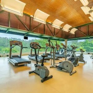 Exercise room with treadmills, ellipticals, space for free weights, with floor to ceiling windows surrounded by view of trees.