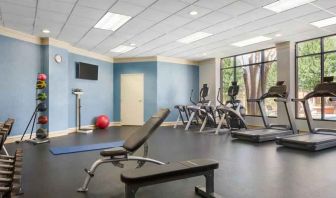 Fitness center with treadmills at the Doubletree by Hilton Houston Medical Center Hotel & Suites.