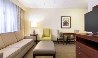 Living room perfect as workspace at the Doubletree by Hilton Houston Medical Center Hotel & Suites.