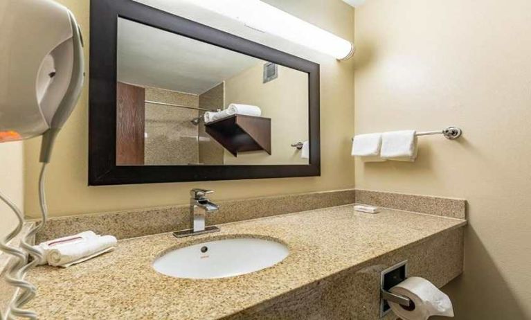 Clean and spacious guest bathroom at Red Roof PLUS+ & Suites Houston - IAH Airport SW.