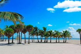 Beach nearby Winter Haven, Autograph Collection.