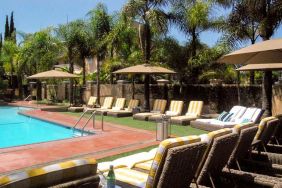 Pool area with lounges at Hollywood Hotel.