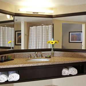 Guest bathroom at Embassy Suites By Hilton LAX Airport North.