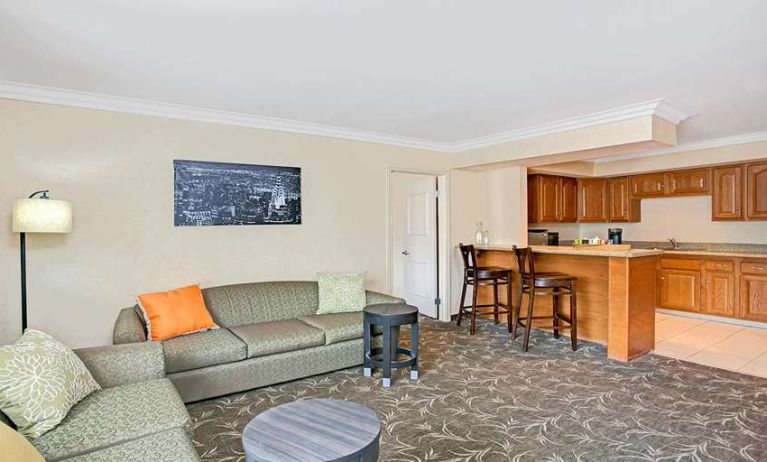 Living room with kitchenette and sofa at Ramada Los Angeles Downtown West.