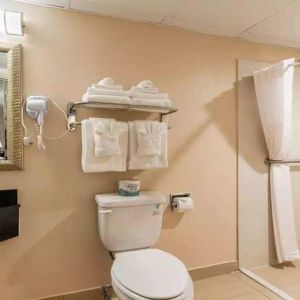 Clean and spacious guest bathroom with shower at Quality Inn Pasadena.