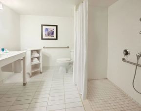 Accessible guest bathroom with shower at Four Points by Sheraton Halifax.
