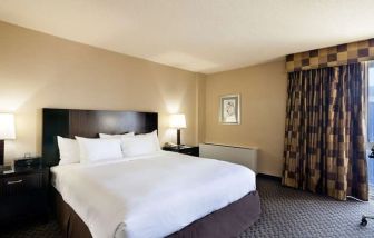 Spacious king room with natural light at Radisson Hotel JFK Airport.