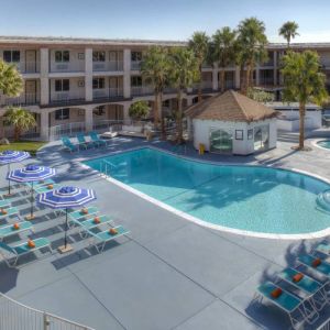 The hotel’s outdoor pool has plenty of loungers and trees nearby when you want a rest and some shade.