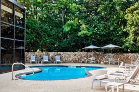 The hotel’s outdoor swimming pool has surrounding loungers and nearby trees.