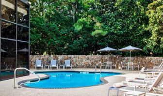 The hotel’s outdoor swimming pool has surrounding loungers and nearby trees.