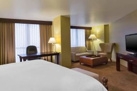 Double bed guest room in the Sheraton Houston Brookhollow Hotel, with sofa and large television.