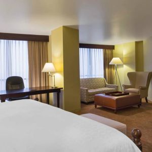 Double bed guest room in the Sheraton Houston Brookhollow Hotel, with sofa and large television.