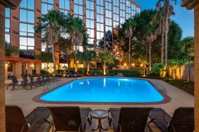 Sheraton Houston Brookhollow Hotel’s outdoor pool, with loungers and plant life nearby.