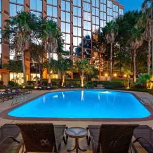 Sheraton Houston Brookhollow Hotel’s outdoor pool, with loungers and plant life nearby.