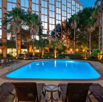 Sheraton Houston Brookhollow Hotel’s outdoor pool, with loungers and plant life nearby.