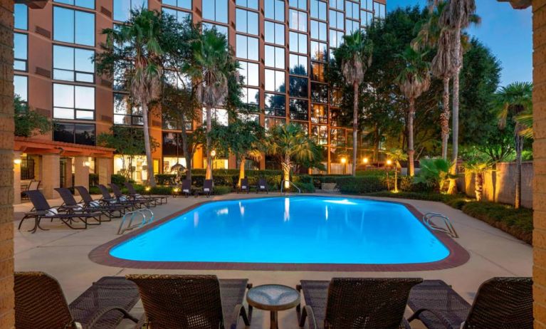 Sheraton Houston Brookhollow Hotel’s outdoor pool, with loungers and plant life nearby.