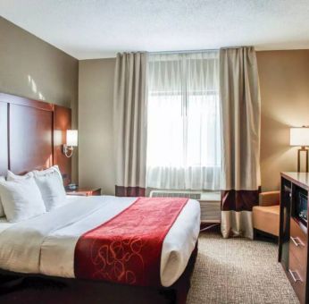 Double bed guest room in Comfort Suites Lombard – Addison, with TV and large nearby window.