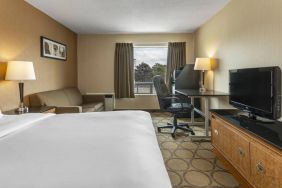 A guest room in the Comfort Inn Regina, with double bed, sofa, and widescreen television.