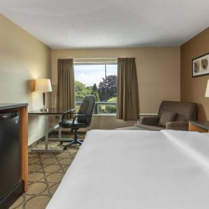 Double bed guest room in Comfort Inn Saskatoon, with window and TV.