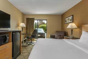 Guest room in Comfort Inn Edmonton West, with double bed and large window.