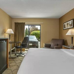 Guest room in Comfort Inn Edmonton West, with double bed and large window.