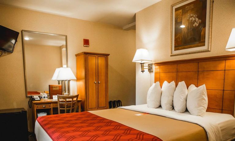 Guest room of the Econo Lodge Times Square, with double bed, wardrobe, mirror, and television.