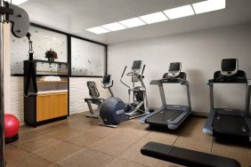 The hotel’s fitness center, equipped with a range of exercise machines.