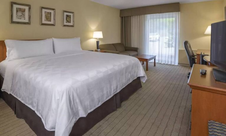 Guest room in Allure Hotel & Conference Centre, with double bed, sofa, and nearby window.