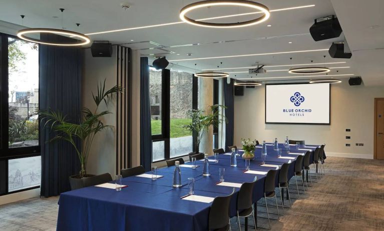 Meeting room with space for over a dozen attendees, featuring large windows and potted plants.