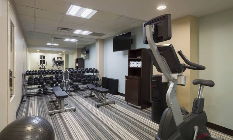 The hotel fitness center, with benches, weights, and various exercise machines.