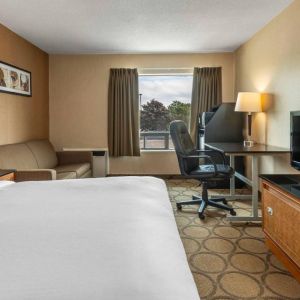 Guest room in Comfort Inn Belleville, with double bed, TV, and window.