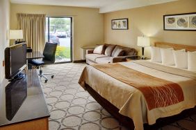 Double bed guest room in the Comfort Inn Fredericton, with large window and TV.