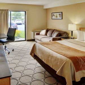 Double bed guest room in the Comfort Inn Fredericton, with large window and TV.