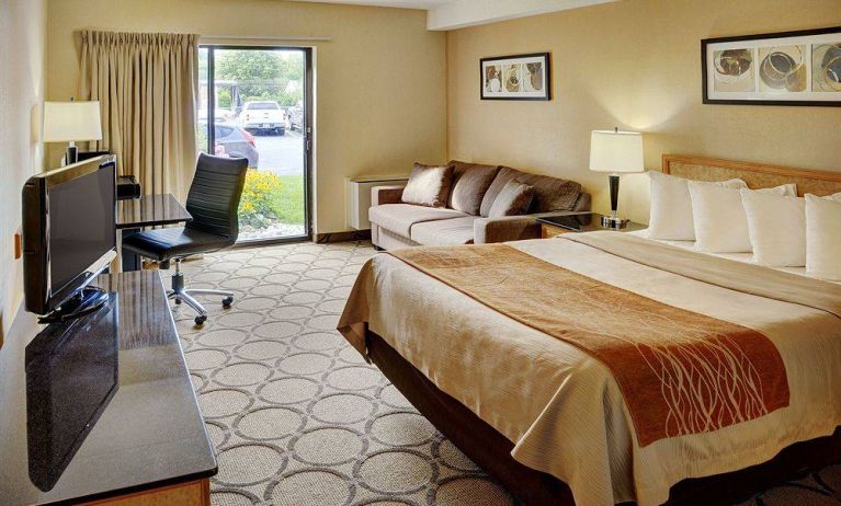 Double bed guest room in the Comfort Inn Fredericton, with large window and TV.