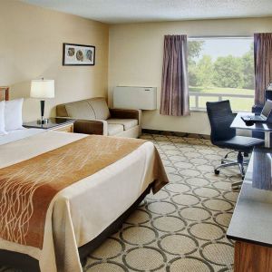 Comfort Inn Fredericton guest room featuring double bed and a workspace desk and chair.