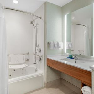 Private guest bathroom with shower at Holiday Inn Express & Suites Ontario.