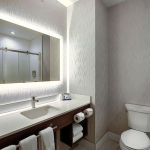 Private guest bathroom with shower at Holiday Inn Express & Suites Airport-Calgary.