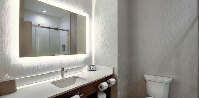 Private guest bathroom with shower at Holiday Inn Express & Suites Airport-Calgary.