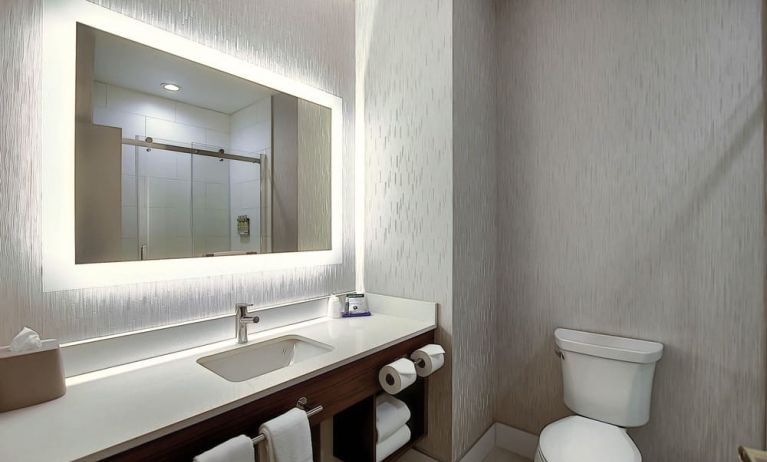 Private guest bathroom with shower at Holiday Inn Express & Suites Airport-Calgary.