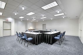 Professional meeting room at Holiday Inn Express & Suites Airport-Calgary.