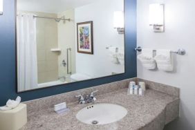 Private guest bathroom with shower at Hilton Garden Inn Dallas/Allen.