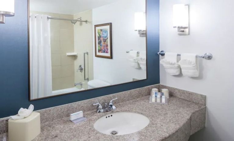 Private guest bathroom with shower at Hilton Garden Inn Dallas/Allen.