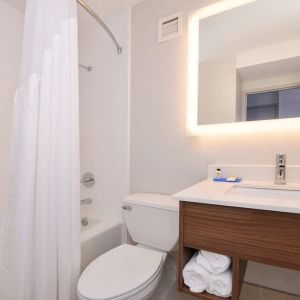 Private guest bathroom with shower at Holiday Inn Express Towson Baltimore N.