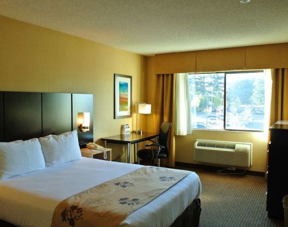 Delux king bed with TV and business desk at Best Western Seattle Airport Hotel.