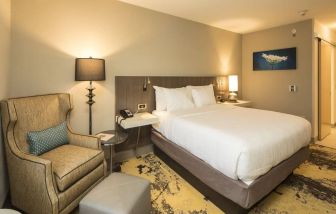 Spacious king bedroom with TV and work station at Hilton Garden Inn Pittsburgh Airport.